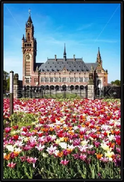 Картина Разноцветное поле тюльпанов перед Дворцом Мира в Гааге, официальной резиденцией Международного суда ООН