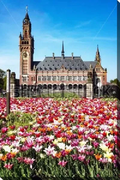 Постер Разноцветное поле тюльпанов перед Дворцом Мира в Гааге, официальной резиденцией Международного суда ООН