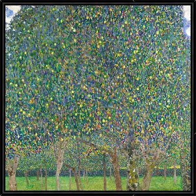 Грушевое Дерево