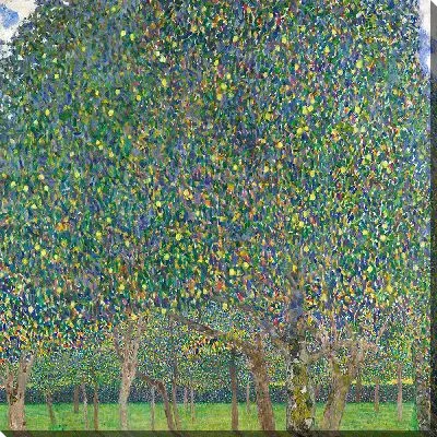 Грушевое Дерево