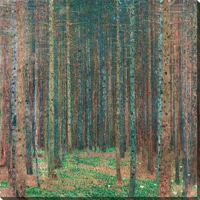 Еловый лес I