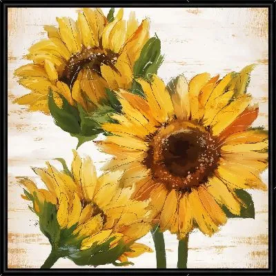 Красивый закат над Старым городом в Берне с видом на виадук через реку Ааре