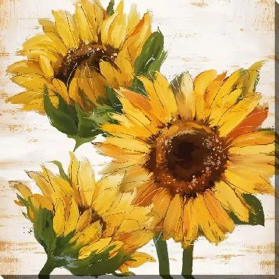 Красивый закат над Старым городом в Берне с видом на виадук через реку Ааре