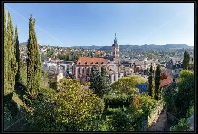 Живописный пейзаж Баден-Бадена с красивыми кипарисами и собором