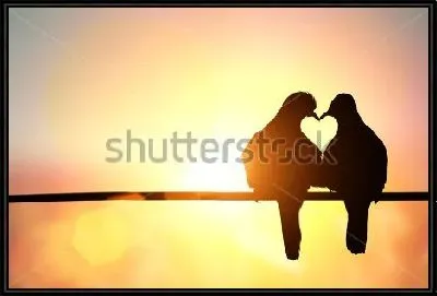 Силуэты двух голубей в форме сердца на фоне красивого закатного света