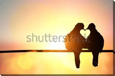 Силуэты двух голубей в форме сердца на фоне красивого закатного света