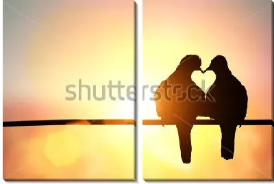 Силуэты двух голубей в форме сердца на фоне красивого закатного света