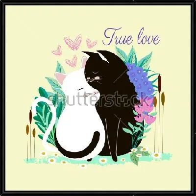 Влюблённая парочка - чёрный кот и белая кошка - на поляне красивых цветов