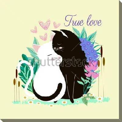 Влюблённая парочка - чёрный кот и белая кошка - на поляне красивых цветов