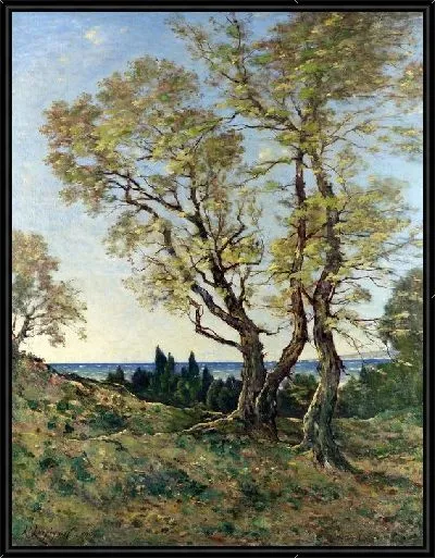 Картина Оливковые деревья (Olive Trees)