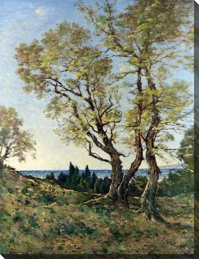 Картина Оливковые деревья (Olive Trees)