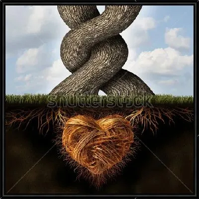 Два обвитых друг другом дерева со сплетёнными в большое сердце корнями