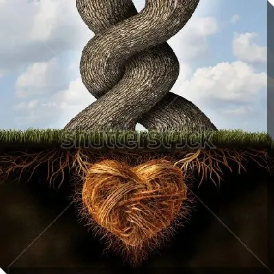 Два обвитых друг другом дерева со сплетёнными в большое сердце корнями