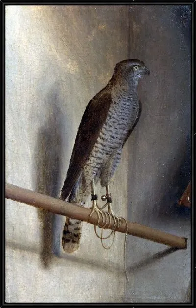 Картина Перепелятник (A Sparrowhawk)