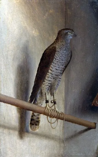 Картина Перепелятник (A Sparrowhawk)