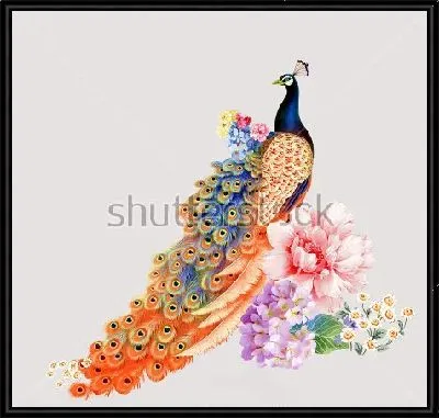 Яркий павлин в прекрасных цветах на светлом фоне