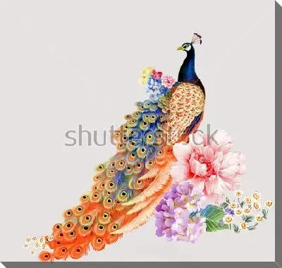 Яркий павлин в прекрасных цветах на светлом фоне