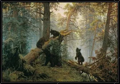 Утро в сосновом лесу