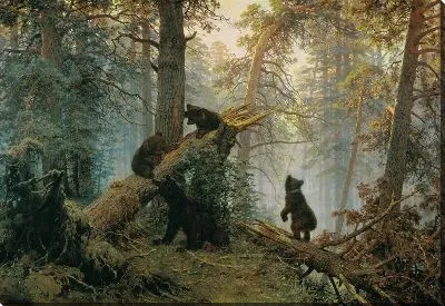 Утро в сосновом лесу