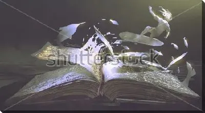 Постер Смелый-сёрфер мчится по страницам волшебной книги с золотыми буквами