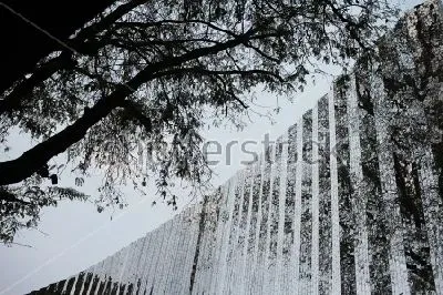 Плакат Отражение деревьев в здании из стекла и зеркал 