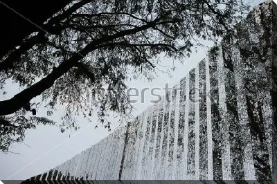 Постер Отражение деревьев в здании из стекла и зеркал 