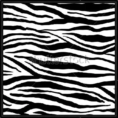 Картина Чёрно-белый узор зебры