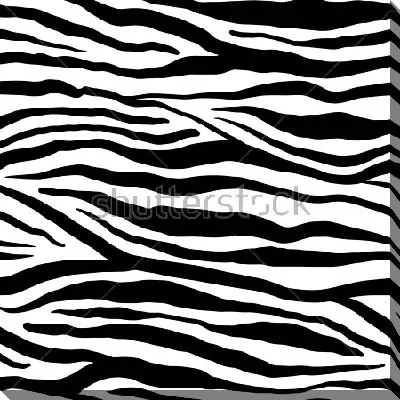 Картина маслом Чёрно-белый узор зебры
