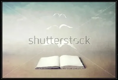 Улетающие птицами страницы книги