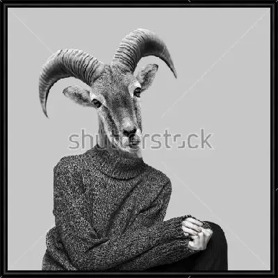 Забавный коллаж человека в свитере с головой горного козла