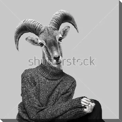 Забавный коллаж человека в свитере с головой горного козла