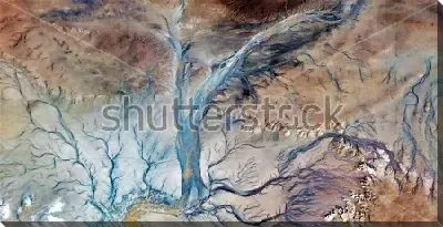 Картина маслом Одинокое дерево в песчаной пустыне во время бури