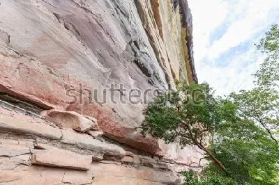 Плакат Пейзаж с красивым деревом у подножия скалы