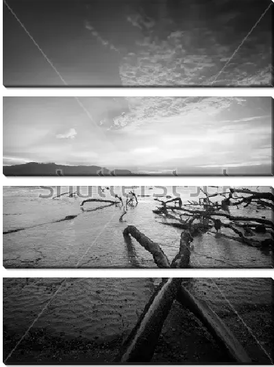 Модульная картина Брёвна на морском берегу