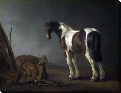 Лошадь рядом с седлом