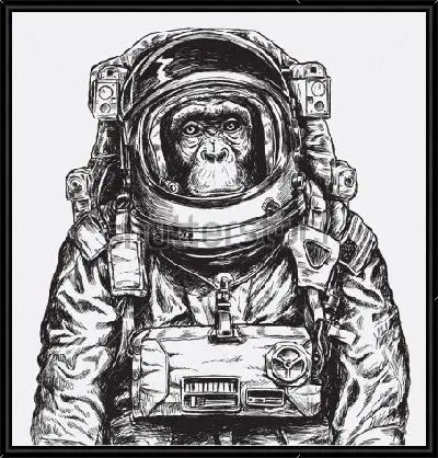 Обезьяна космонавт