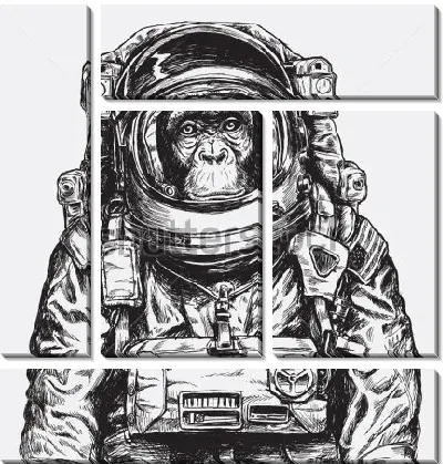 Обезьяна космонавт