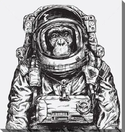 Обезьяна космонавт