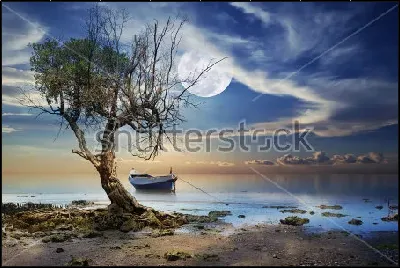картина