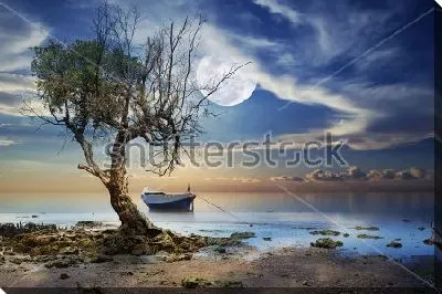 Загадочный пейзаж с одиноким деревом и лодочкой на море