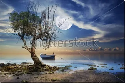 картина