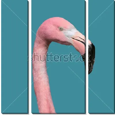 Модульная картина Голова розового фламинго на голубом фоне