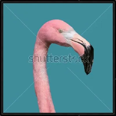 Голова розового фламинго на голубом фоне