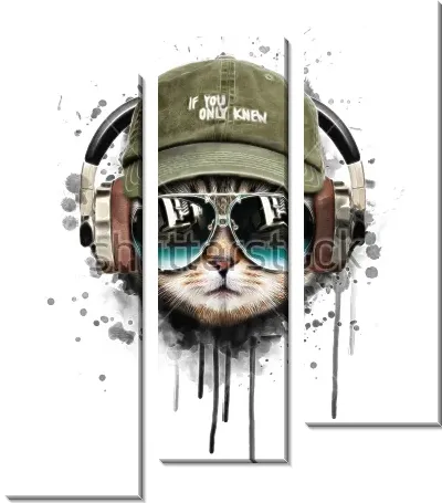 Модульная картина Модный современный кот в тёмных очках, кепке и наушниках на фоне потёков акварельной краски