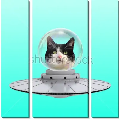 Модульная картина Забавный коллаж с котом инопланетянином на летающей тарелке