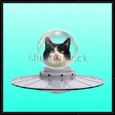Забавный коллаж с котом инопланетянином на летающей тарелке