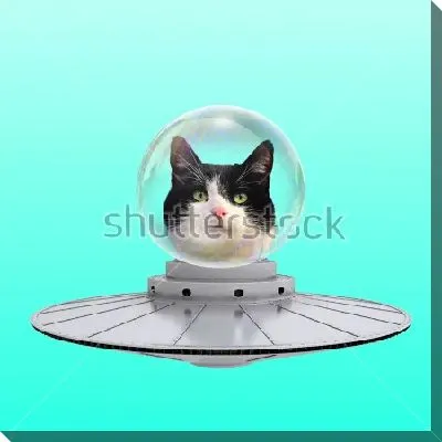 Забавный коллаж с котом инопланетянином на летающей тарелке