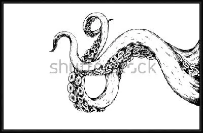 Гибкие щупальца осьминога