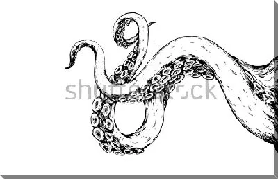 Гибкие щупальца осьминога