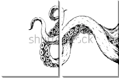 Гибкие щупальца осьминога